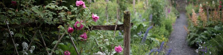 Add a Touch of Whimsy Part 2