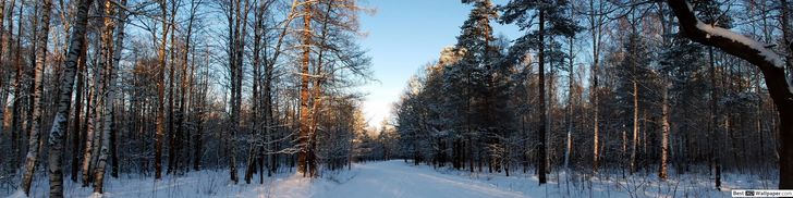 Winter Survival Guide