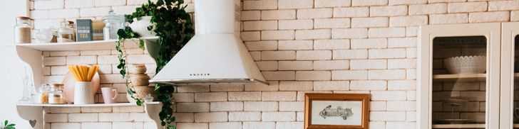 Indoor Plants for Beginners