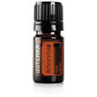 Arborvitae 5ml