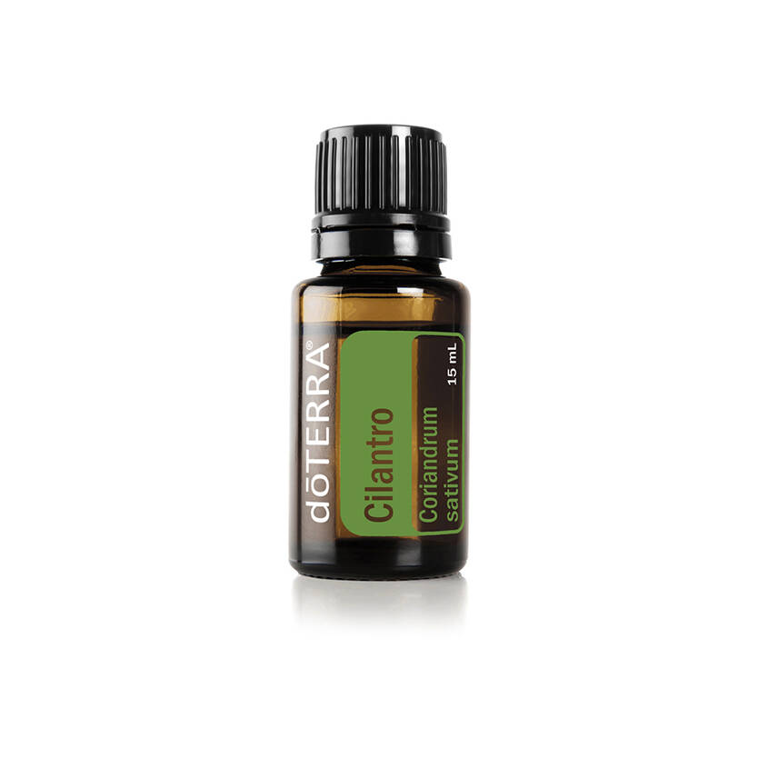 Cilantro 15 ml