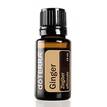 Ginger 15 ml