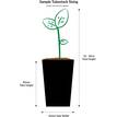 Murraya paniculata Min-a-min (75 mm round tube)