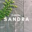 Order for Sandra - 60 x Early Pearly