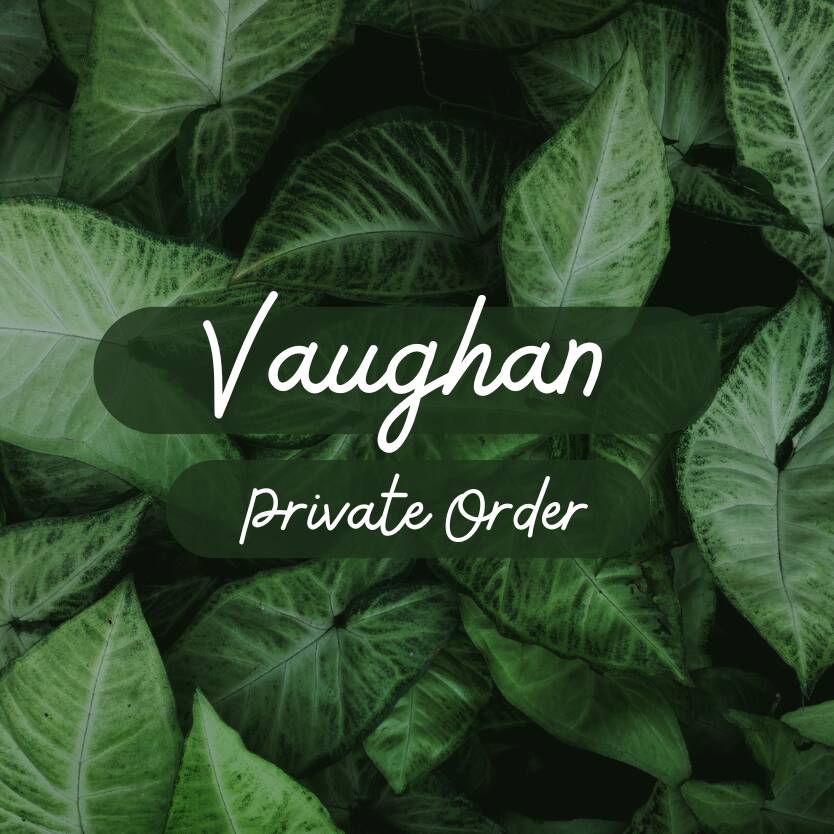 Order for Vaughan - 4x Royal Mantle